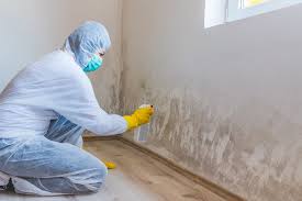 Mold Odor Removal Services in Esparto, CA