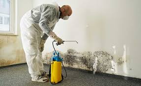 Trusted Esparto, CA Mold Prevention & Removal  Experts